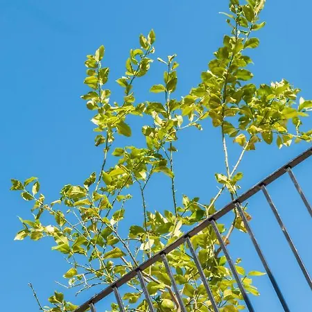 Casa San Carlo La Valeta