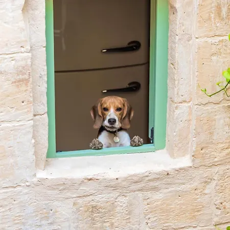 Casa San Carlo Apartamento La Valeta