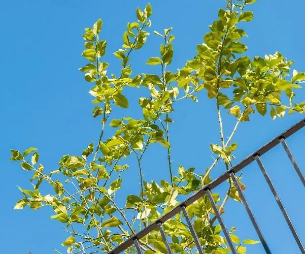 Casa San Carlo Valeta