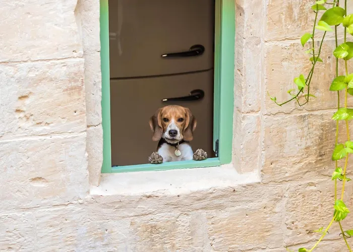 Casa San Carlo Διαμέρισμα Βαλέτα